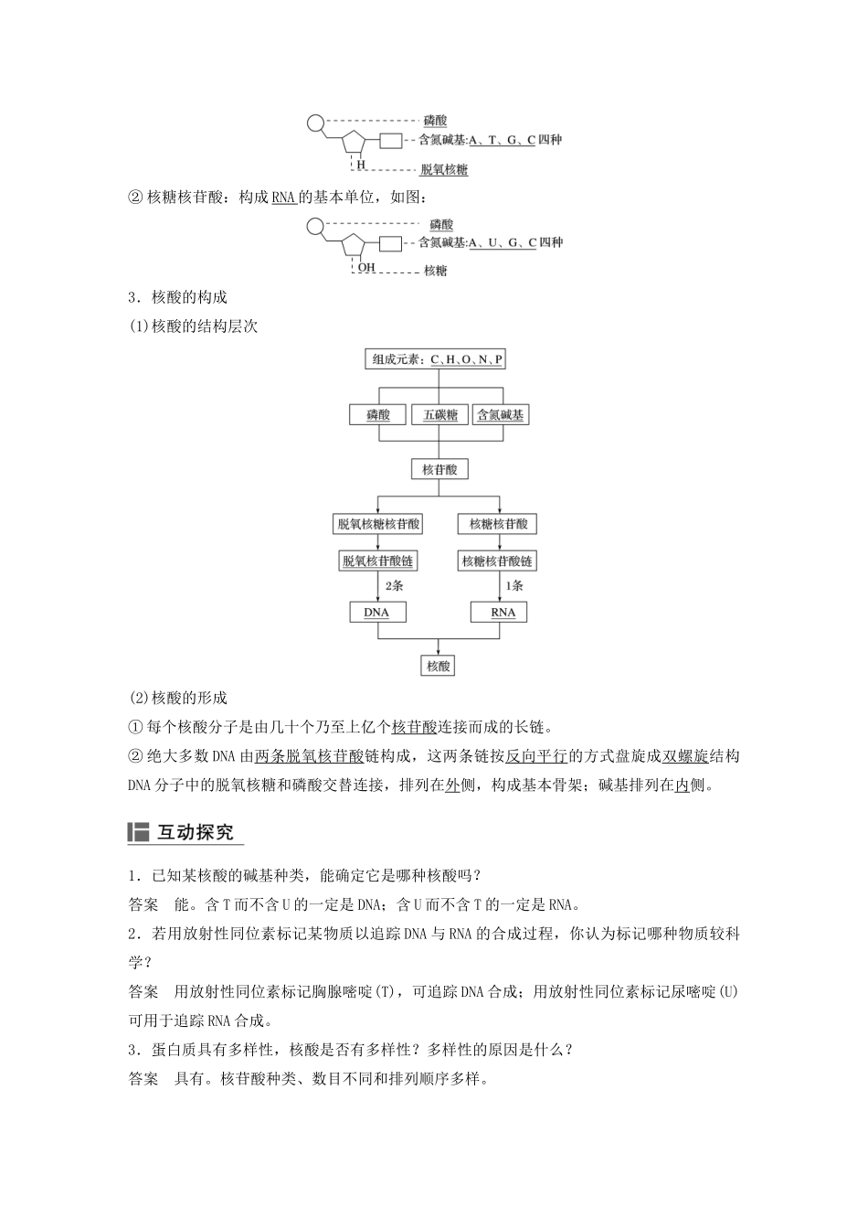 高中生物 第二章 细胞的化学组成 第二节 细胞中的生物大分子（第3课时）学案 苏教版必修1-苏教版高二必修1生物学案_第2页