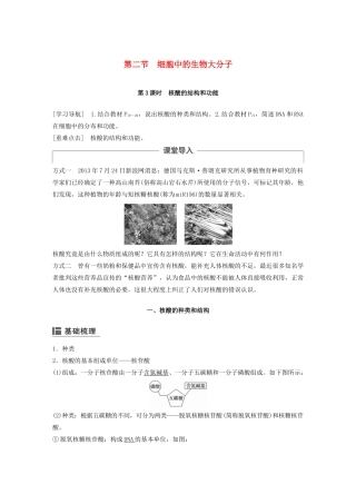 高中生物 第二章 细胞的化学组成 第二节 细胞中的生物大分子（第3课时）学案 苏教版必修1-苏教版高二必修1生物学案