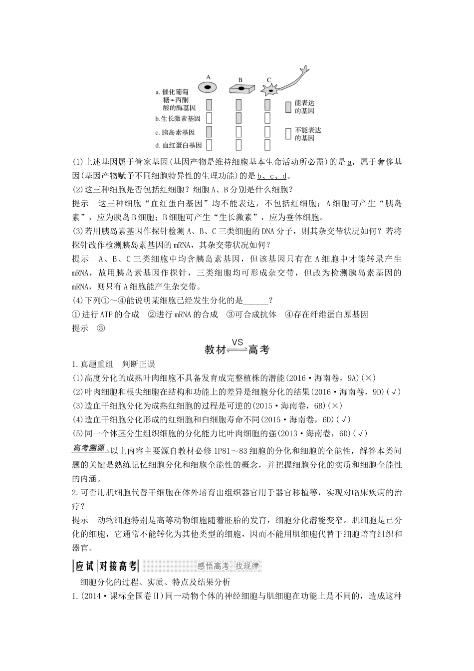 高考生物一轮复习 第五单元 细胞的生命历程 第11讲 细胞的分化、衰老、凋亡和癌变创新备考学案 中图版-中图版高三全册生物学案_第2页