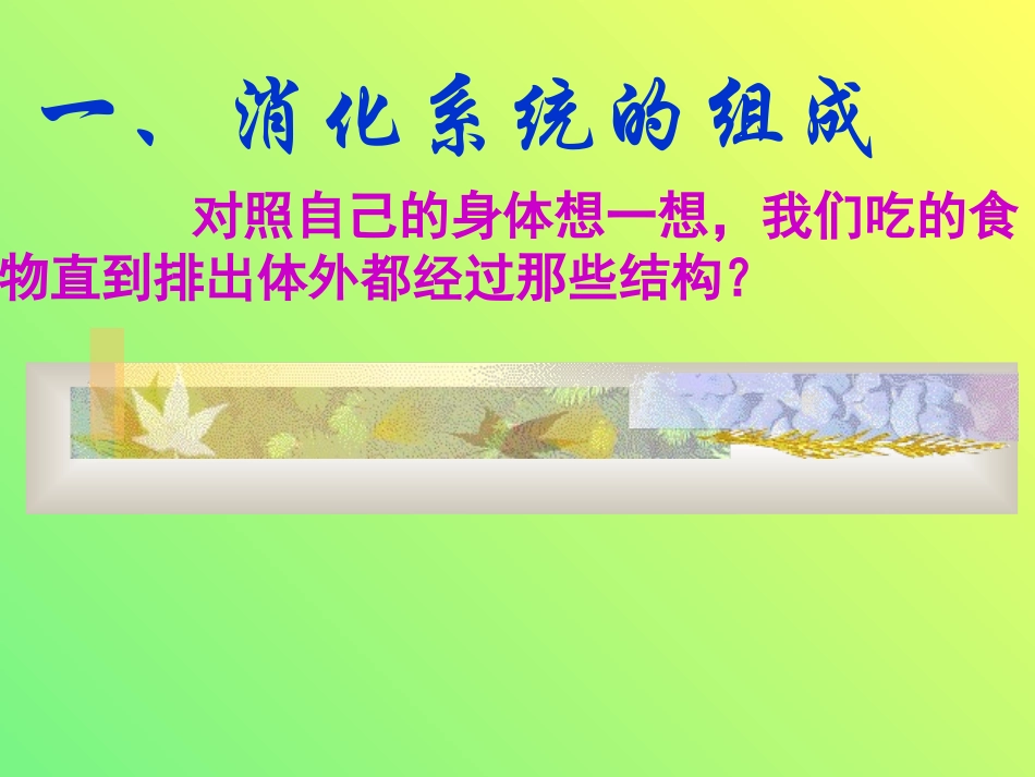 初一下册生物第二章第二节人体的消化与吸收复习资料_课件_第2页