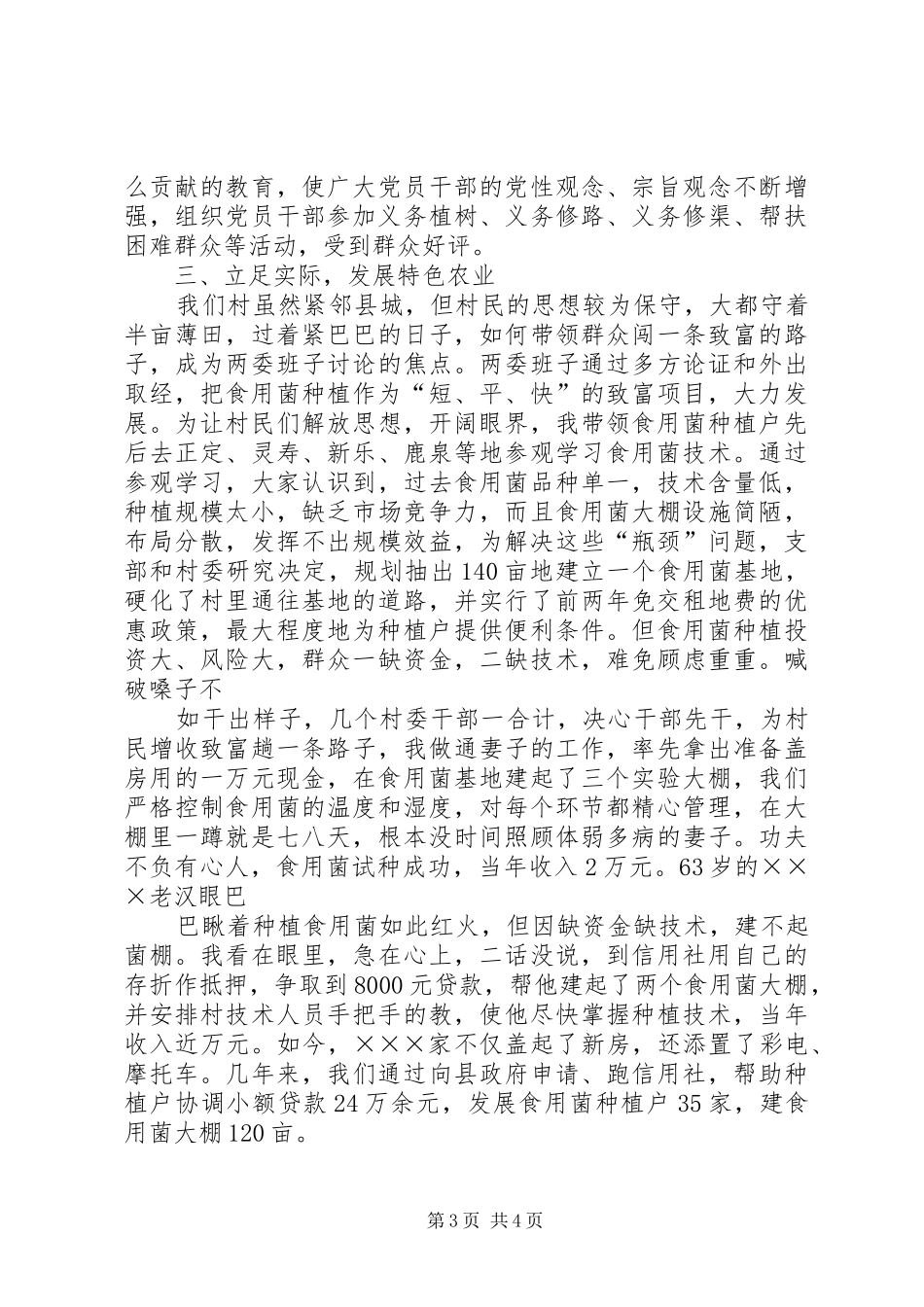 农村支部书记讲话发言_第3页