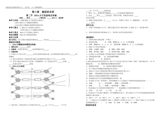 DNA分子结构自学案