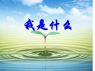 我是什么课件