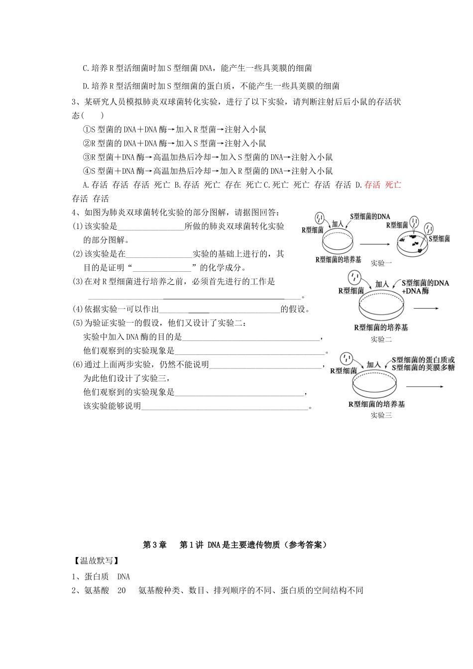 高中生物 第3章 基因的本质 第1节 DNA是主要遗传物质（1）导学案 新人教版必修2-新人教版高一必修2生物学案_第3页