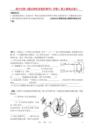 高中生物《通过神经系统的调节》学案5 新人教版必修3
