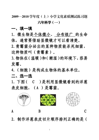 六年上一单元
