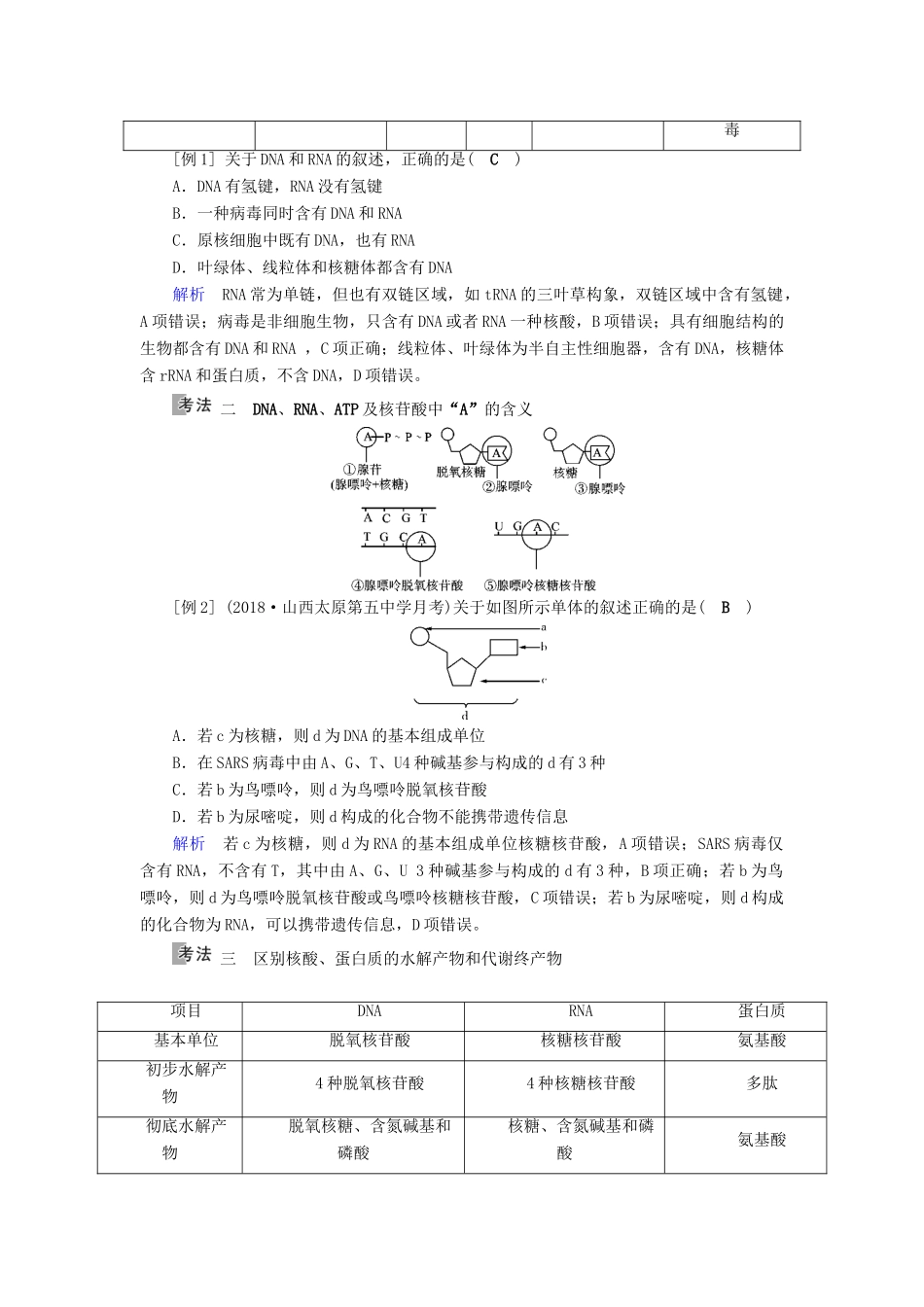 高考生物大一轮复习 第4讲 遗传信息的携带者优选学案-人教版高三全册生物学案_第3页