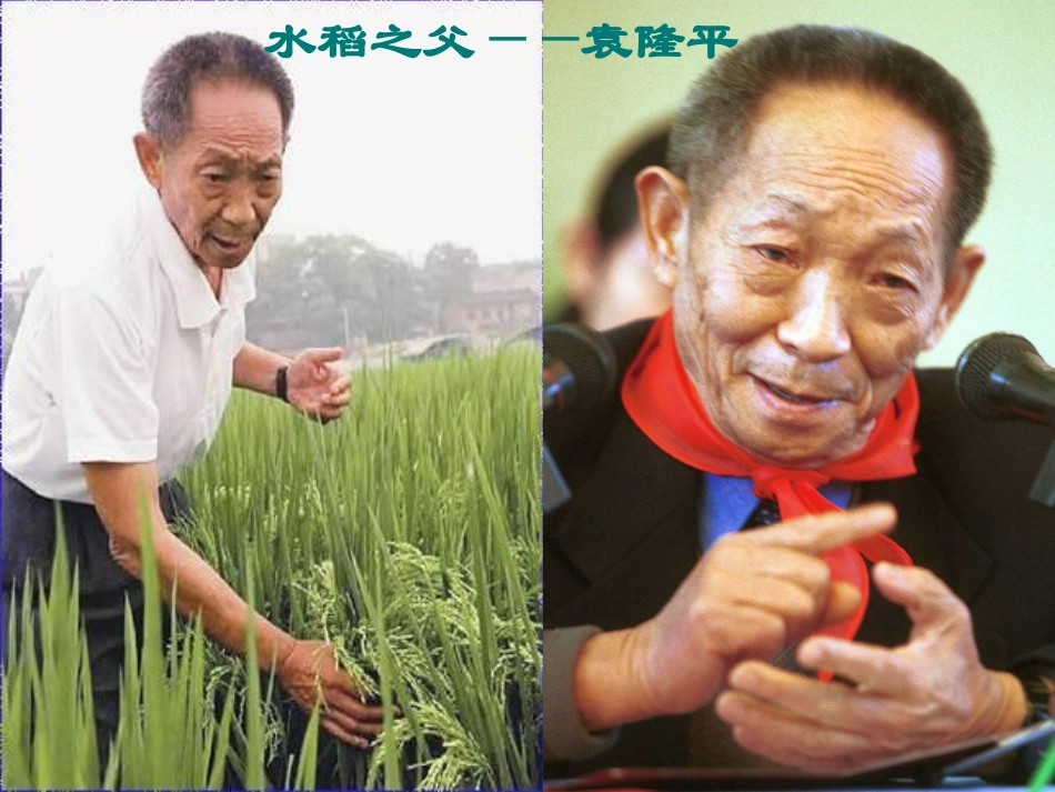 农业的变化真大课件_第3页