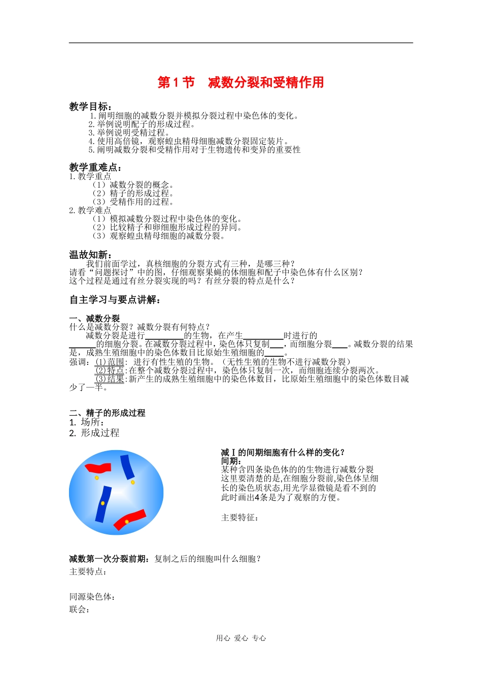 高中生物：2.1 减数分裂和受精作用 学案（1） 新人教版必修2_第1页