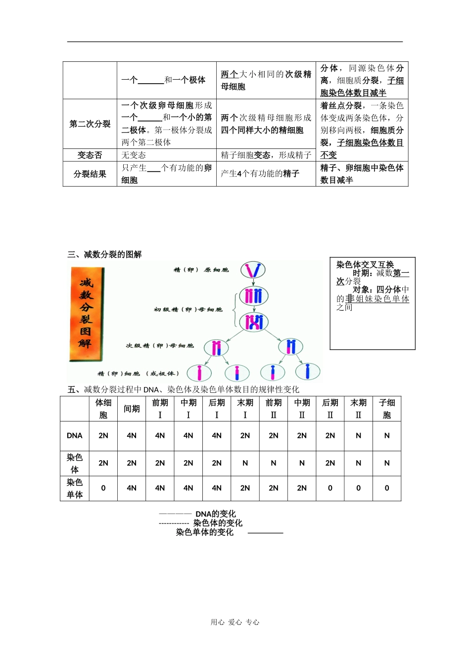 高中生物：2.1 减数分裂和受精作用 学案（1） 新人教版必修2_第3页