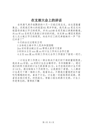 在支部大会上的讲话发言