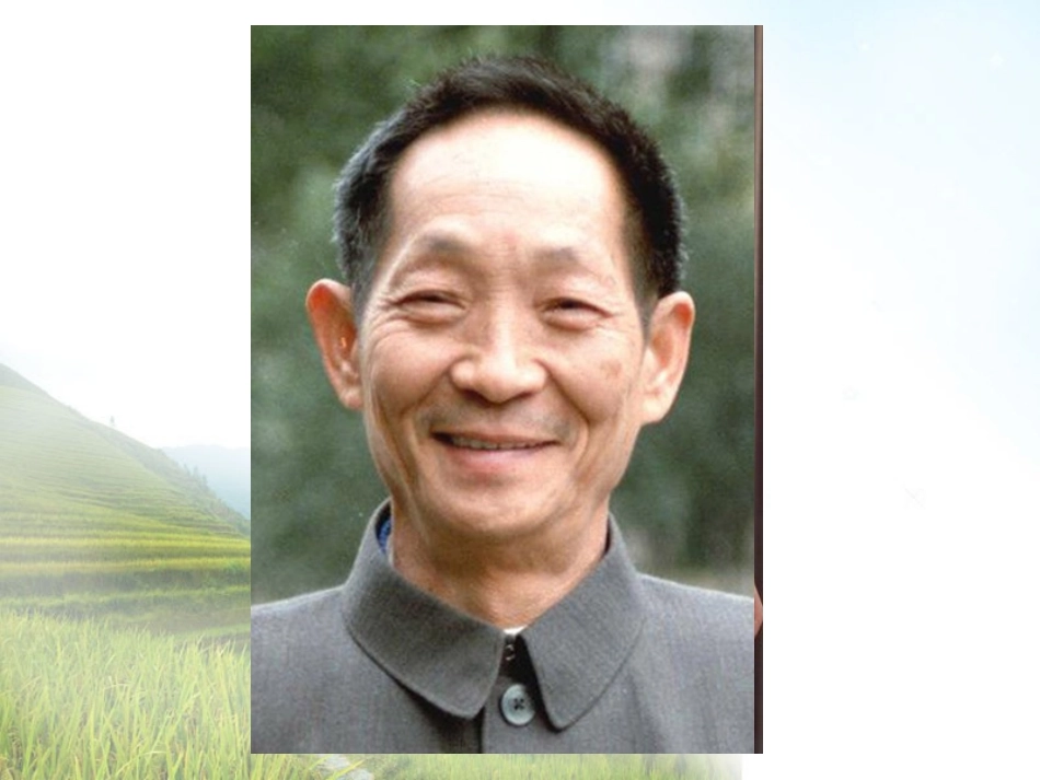 季风水田农业_第1页