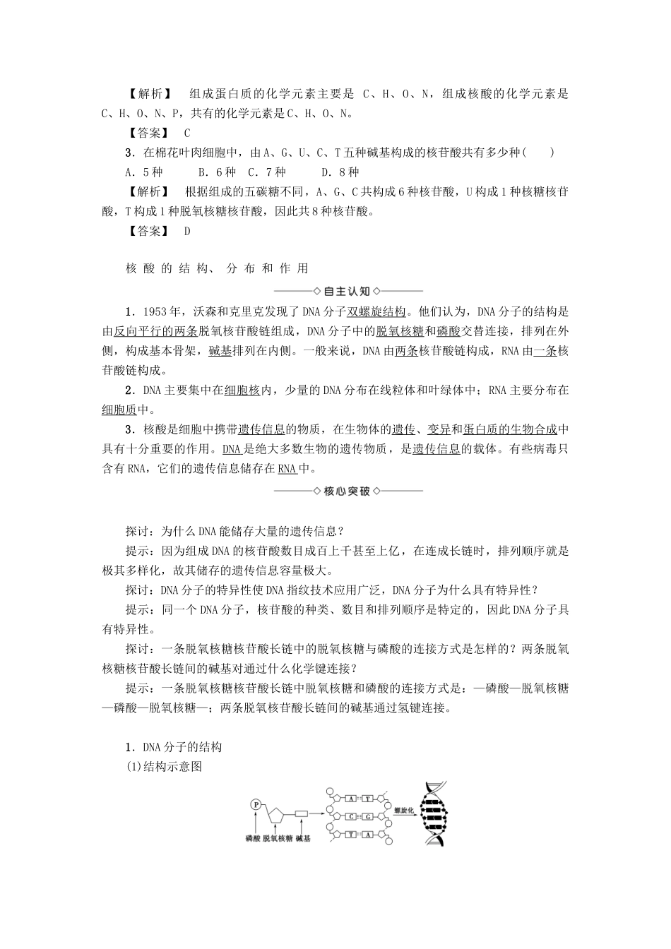 高中生物 第2章 细胞份化学组成 第2节 细胞中的生物大分子（第3课时）核酸的结构和功能学案 苏教版必修1-苏教版高一必修1生物学案_第3页