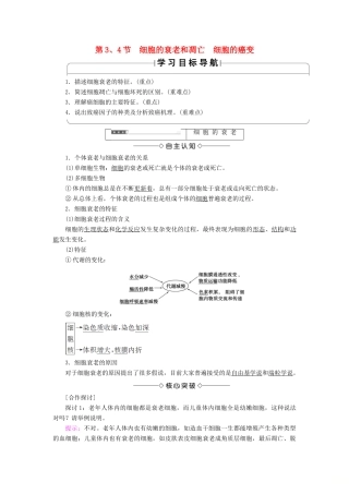 高中生物 第六章 细胞的生命历程 第3、4节 细胞的衰老和凋亡 细胞的癌变学案 新人教版必修1-新人教版高一必修1生物学案