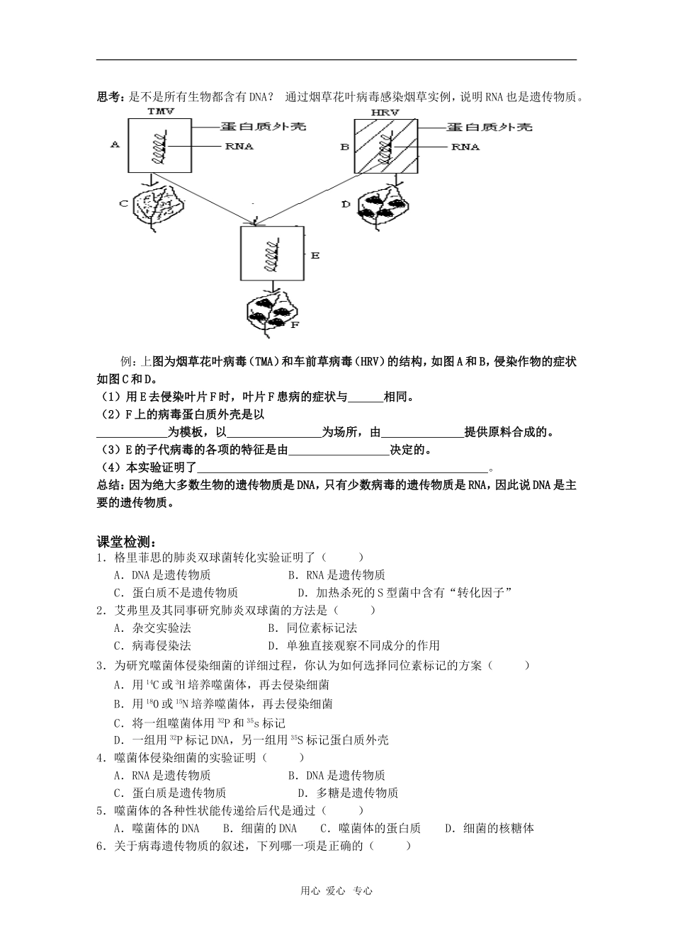 高中生物：3.1《DNA是主要的遗传物质》学案（新人教版必修2）_第3页