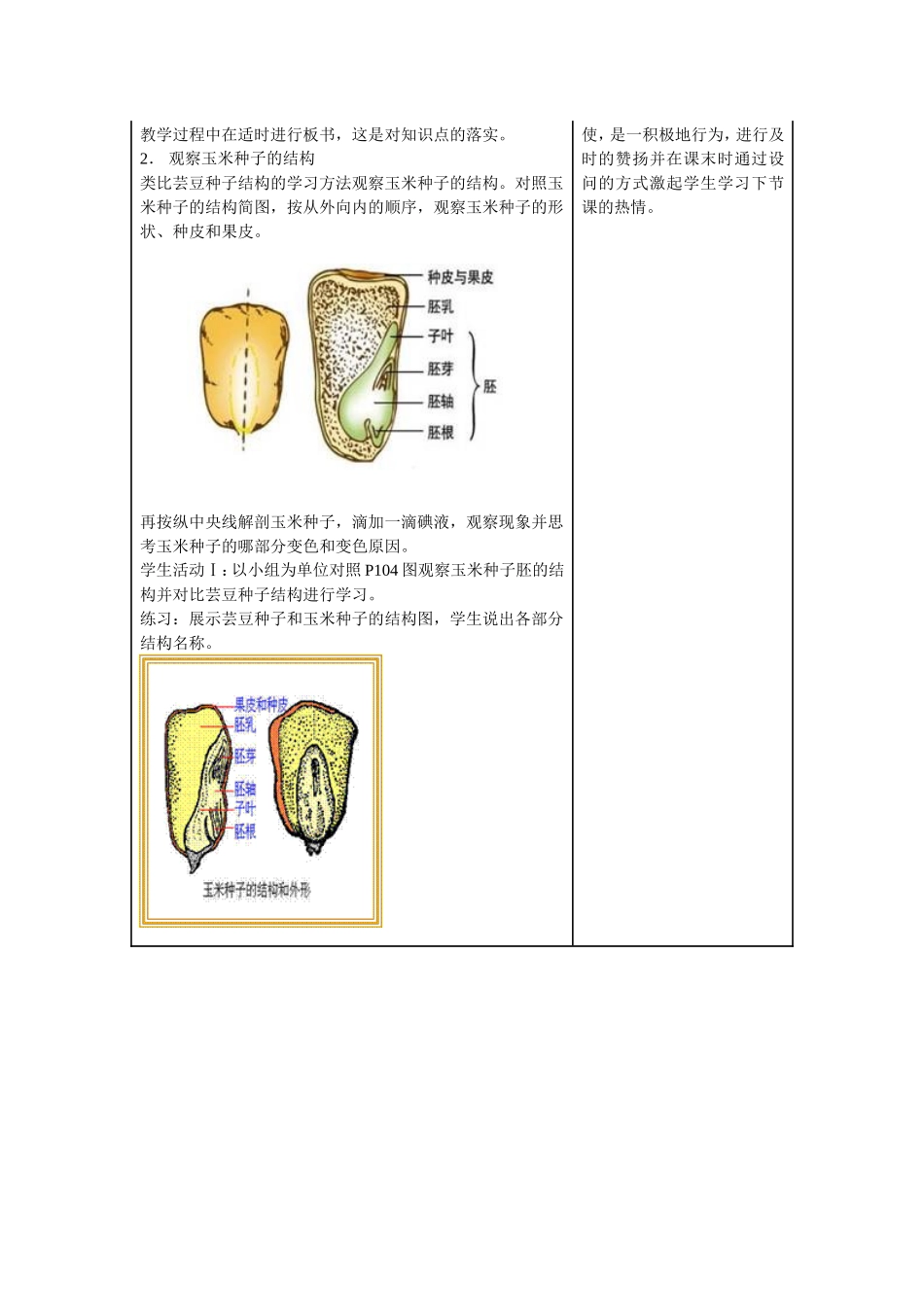 《种子的结构》教学设计_第3页
