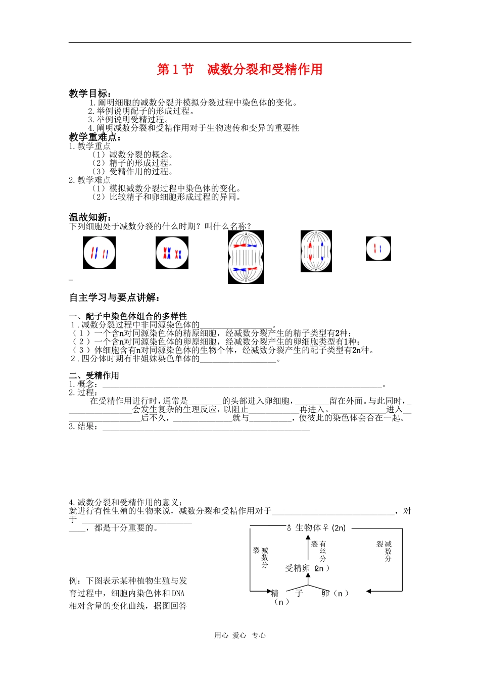高中生物：2.1《减数分裂和受精作用》学案（2）（新人教版必修2）_第1页