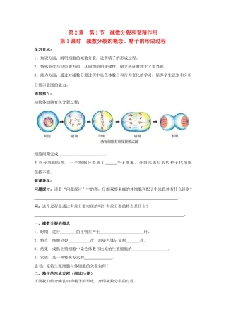 高中生物 第2章 基因和染色体的关系 第1节 减数分裂和受精作用（第1课时）学案 新人教版必修2-新人教版高一必修2生物学案