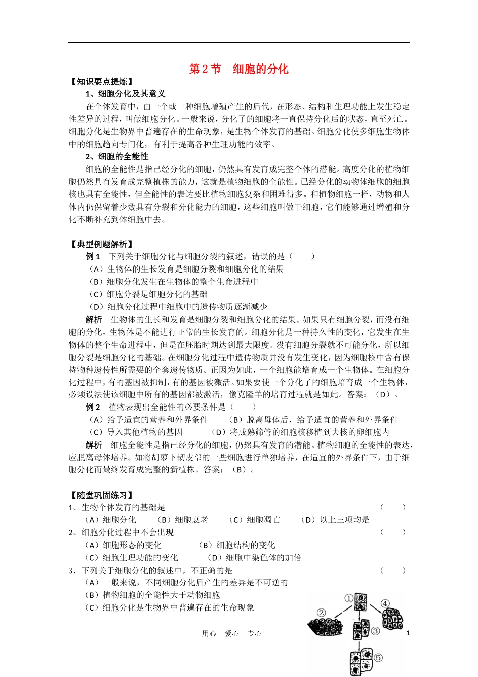 高中生物《细胞的分化》学案3 新人教版必修1_第1页
