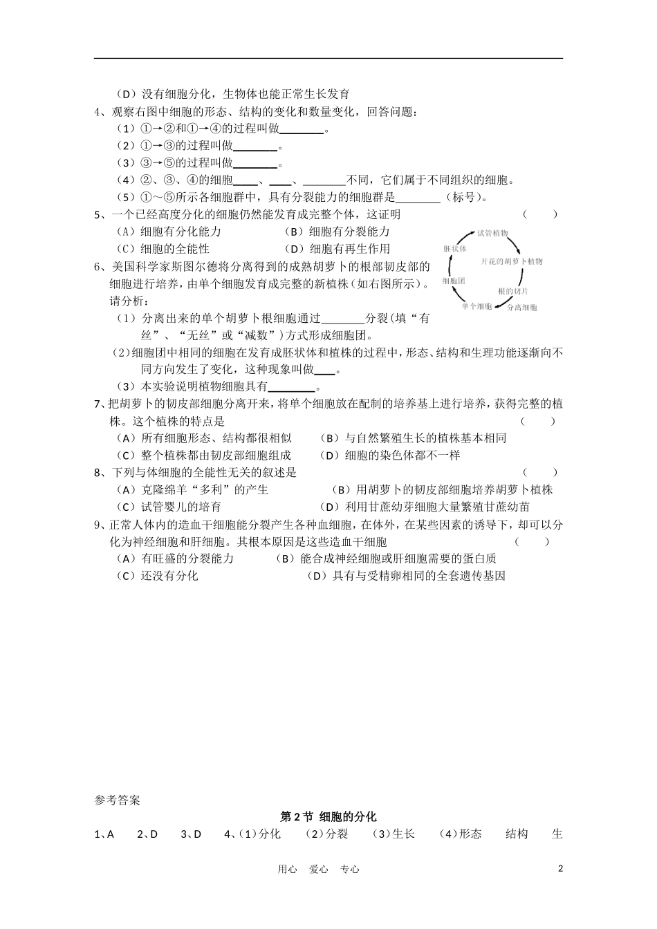 高中生物《细胞的分化》学案3 新人教版必修1_第2页