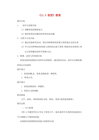 辽宁省丹东七中九年级物理《11.3 密度》教案 人教新课标版