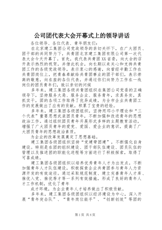公司团代表大会开幕式上的领导讲话发言_1