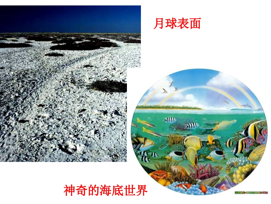 世界因生命而精彩_第2页