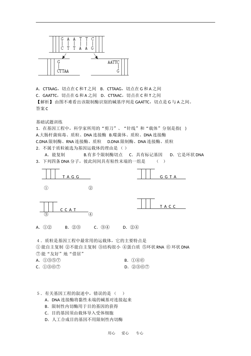 高中生物：1.1 重组技术基本工具 学案2新人教版选修3_第2页
