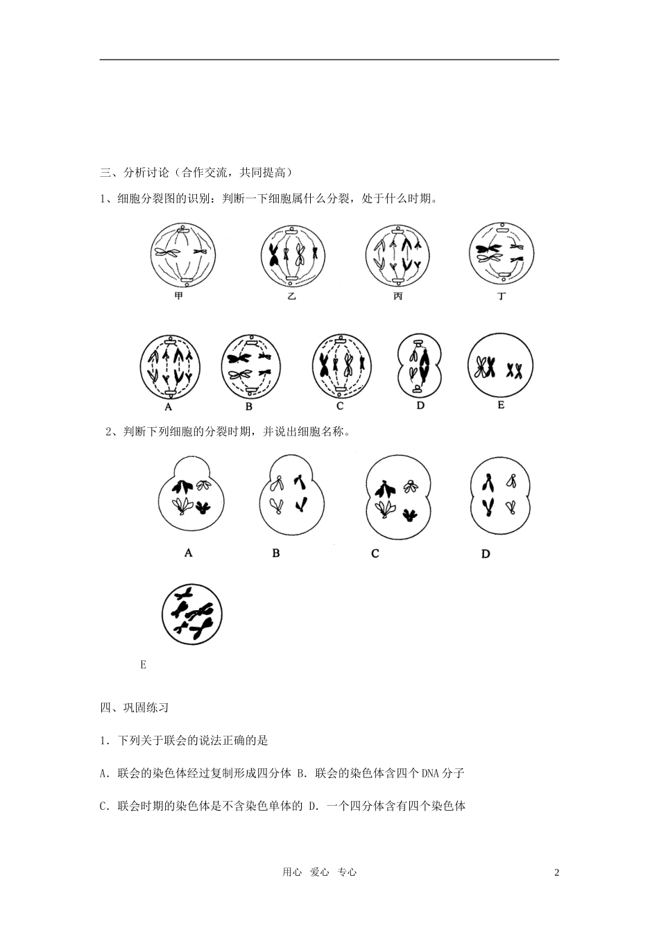 高中生物《减数分裂与配子形成》学案3 中图版必修2_第2页