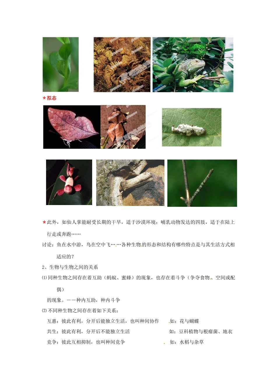浙江省温岭市城南中学九年级科学下册《2.1 种群和生物群落（第三课时）》教案 浙教版_第2页