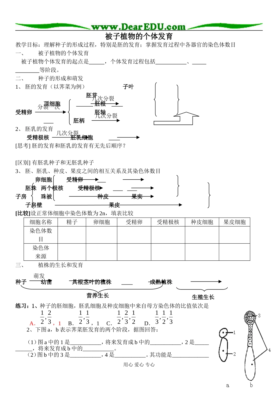 被子植物的个体发育_第1页
