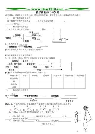 被子植物的个体发育
