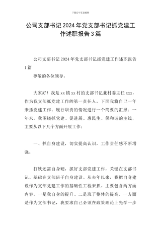 公司支部书记2024年党支部书记抓党建工作述职报告3篇