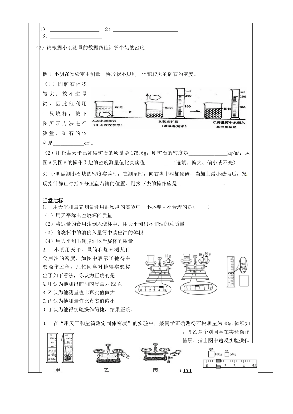 湖南省茶陵县世纪星实验学校九年级物理《测量物质的密度2》教案_第2页