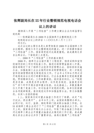 张辉副局长在XX年行业整顿规范电视电话会议上的讲话发言
