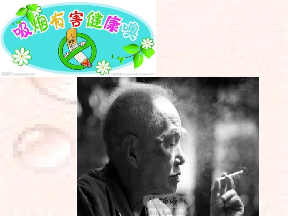 五年级语文下册语文园地三劝说_第3页