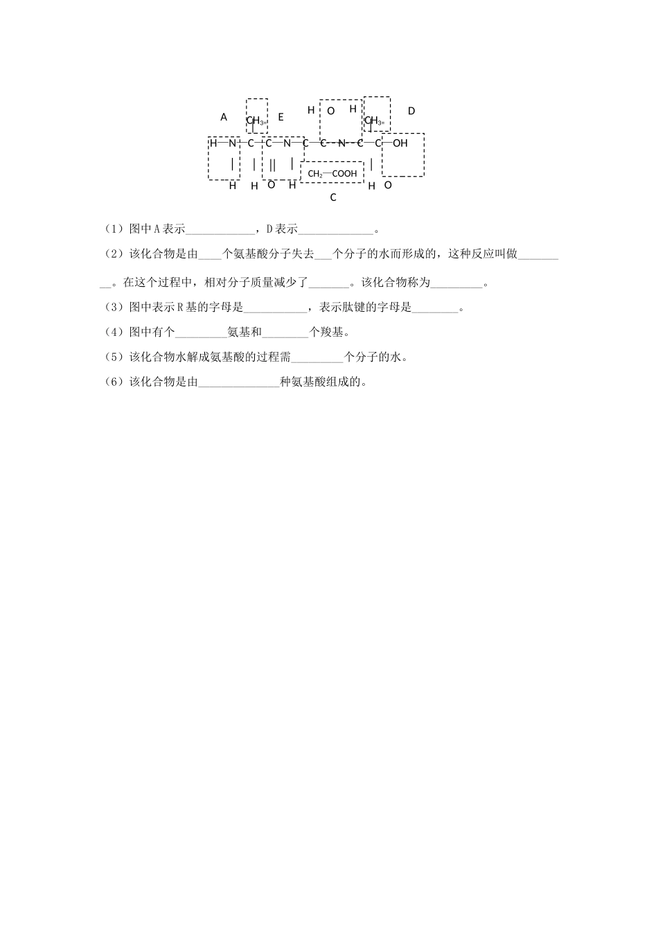 高中生物 2.2 生命活动的主要承担者—蛋白质（第2课时）学案 新人教版必修1-新人教版高一必修1生物学案_第3页