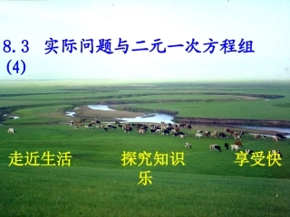 实际问题与二元一次方程组