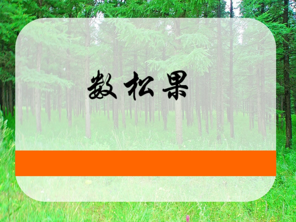 “数松果”上课_第1页