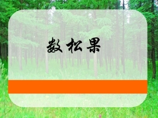 “数松果”上课