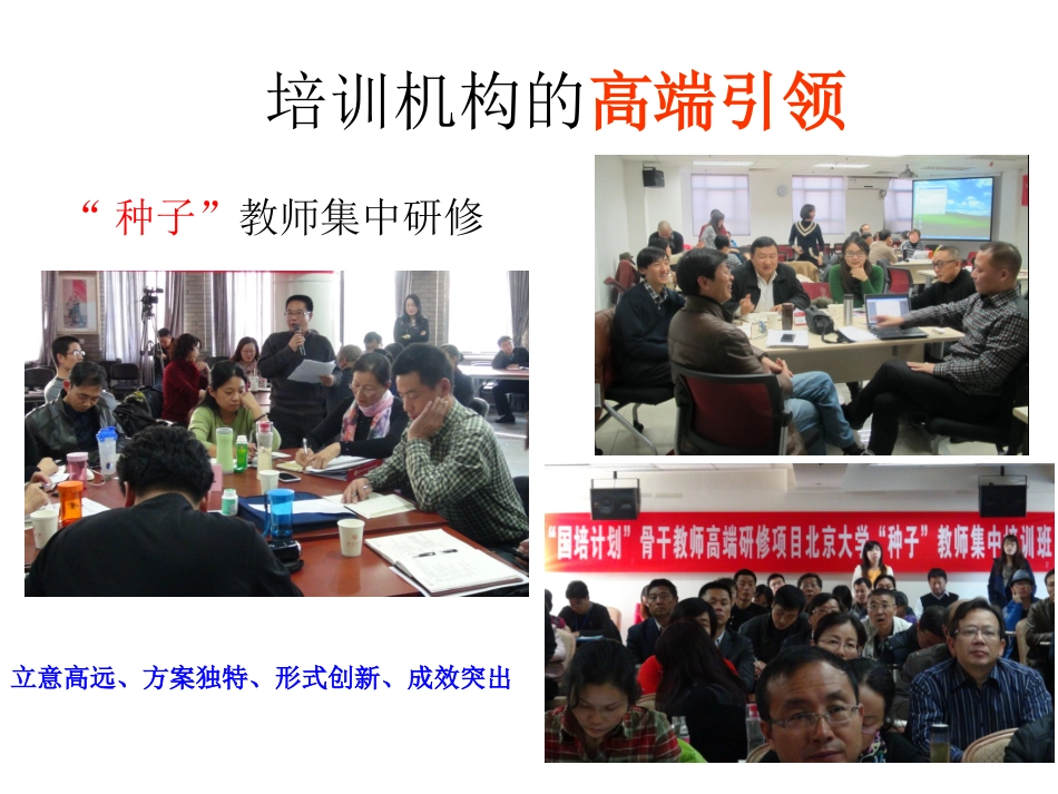 骨干教师培训模式的新跨越陈邦_第3页