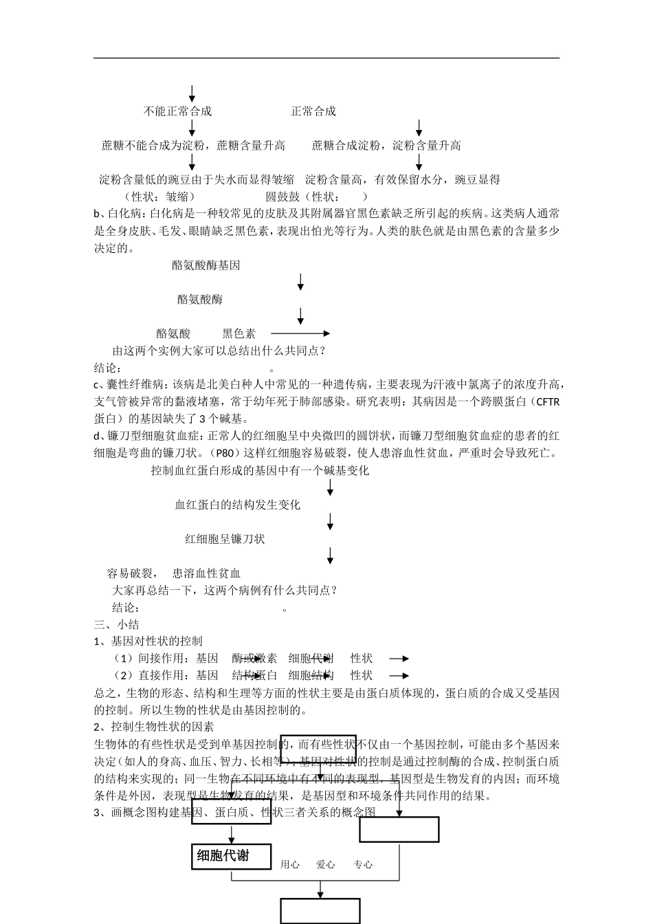 高中生物：4.2《基因对性状的控制》学案（1）（新人教版必修2）_第2页