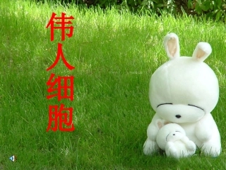 《伟人细胞》课件3