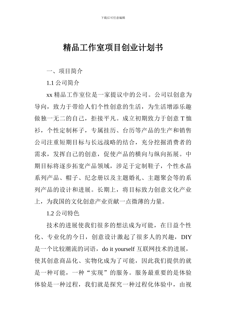 精品工作室项目创业计划书_第1页