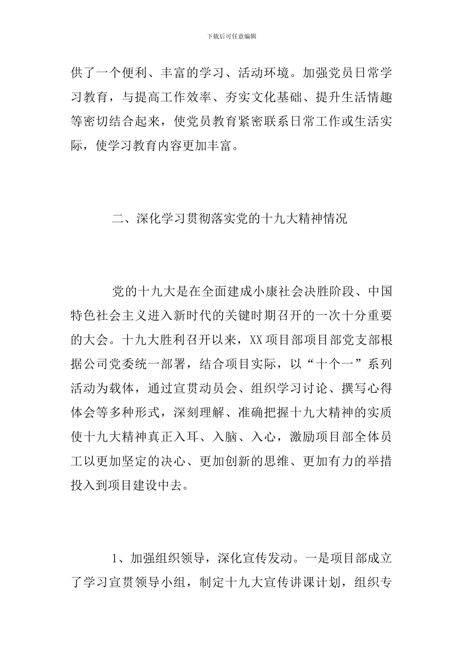 2024年项目部党支部党建工作总结_第2页