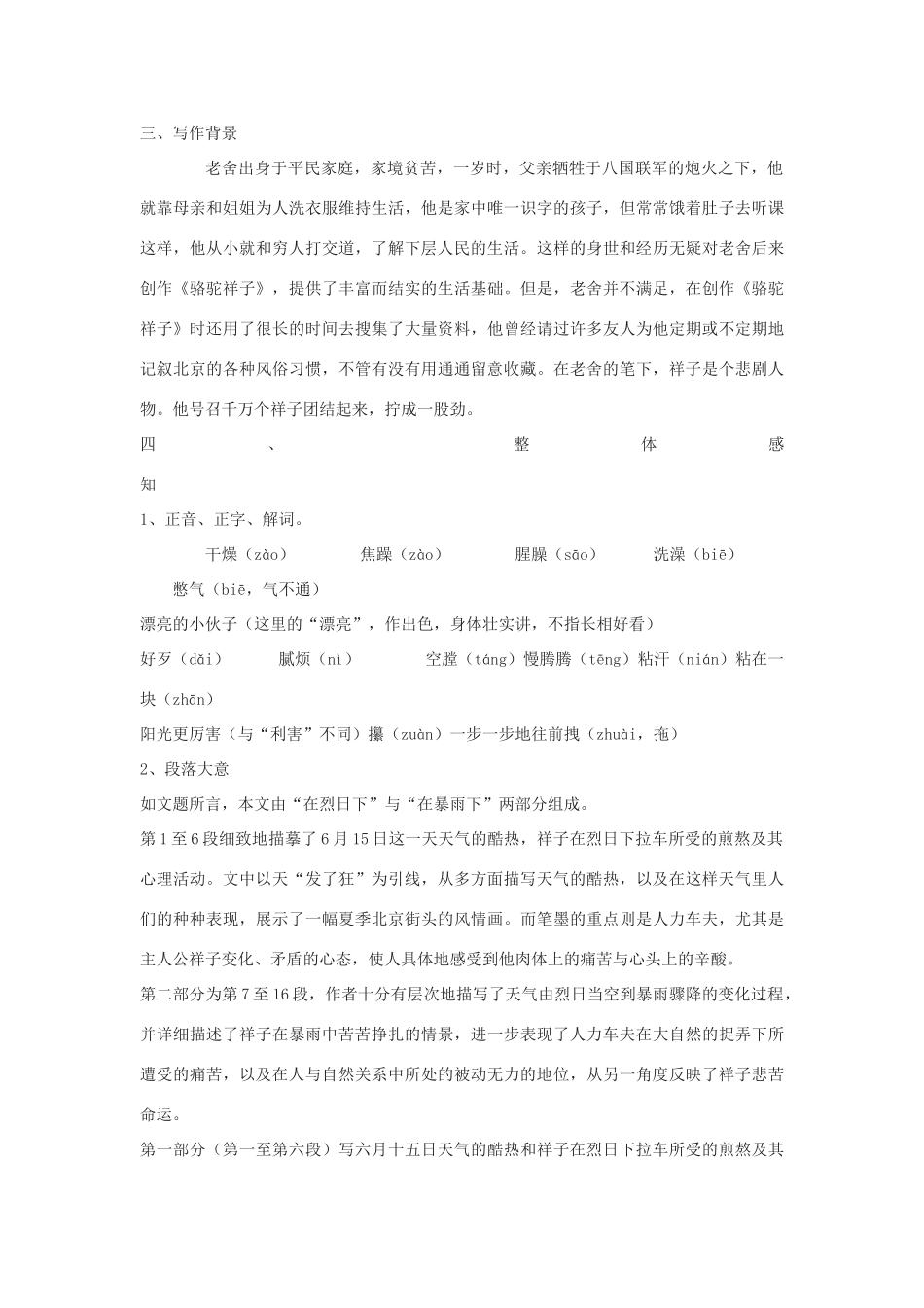 九年级语文下册 17《在烈日和暴雨下》教学设计 北京课改版-北京课改版初中九年级下册语文教案_第2页