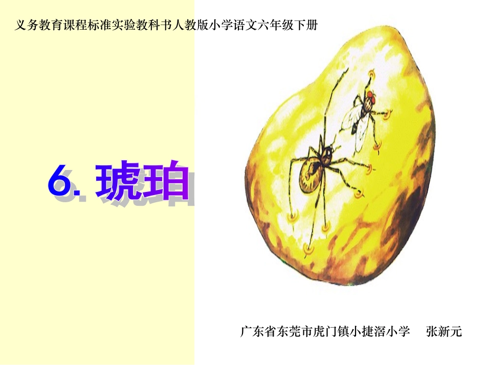 《琥珀》课件 (2)_第1页