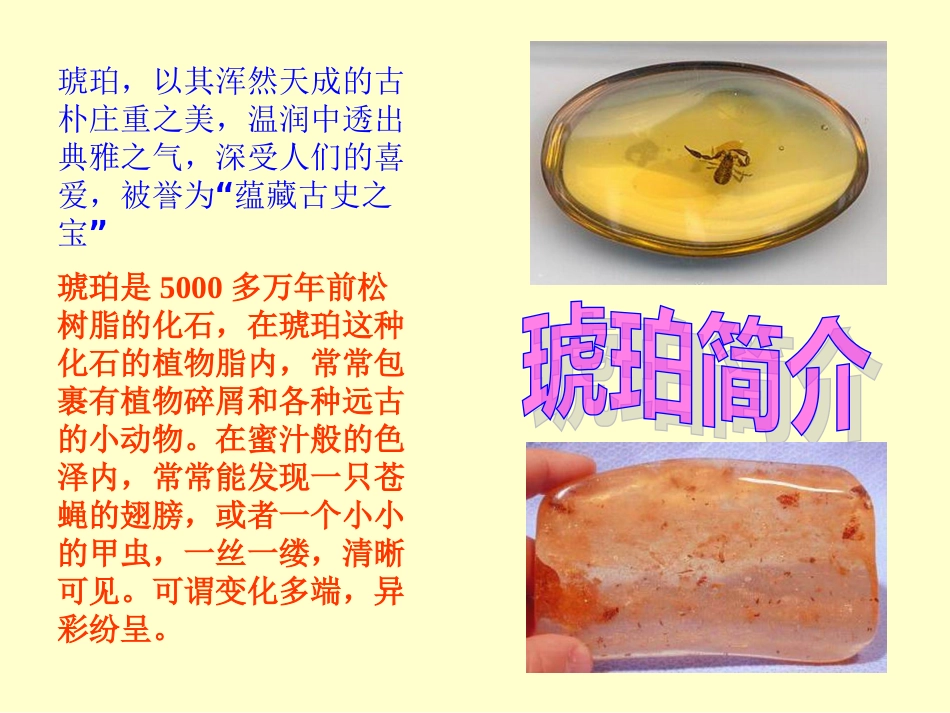 《琥珀》课件 (2)_第2页