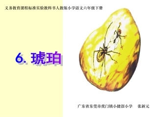 《琥珀》课件 (2)