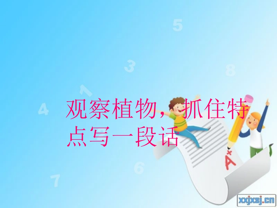 六年下《观察植物抓住特点写作》_第1页